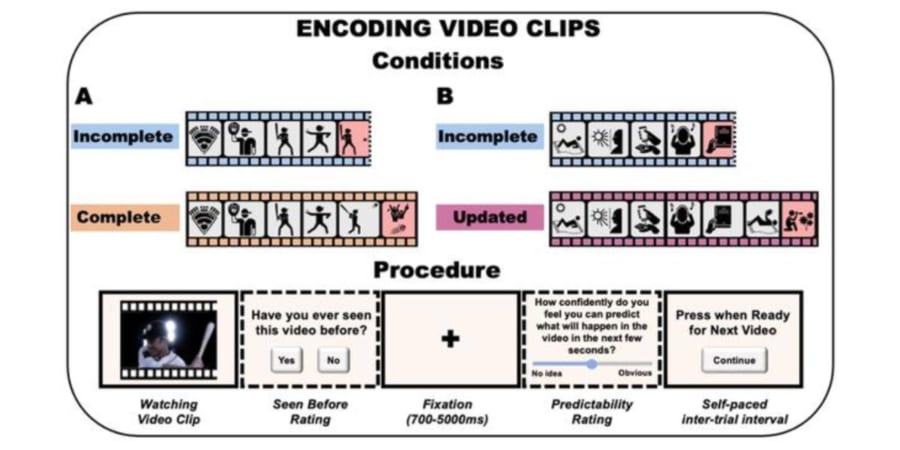 参加者は「完全な動画」「不完全な動画」「更新された動画」のいずれか2つに該当する、24本の短いビデオを視聴。