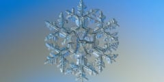 なぜ雪の結晶はすべて「六角形」なの？美しい形は何によって決まる？
