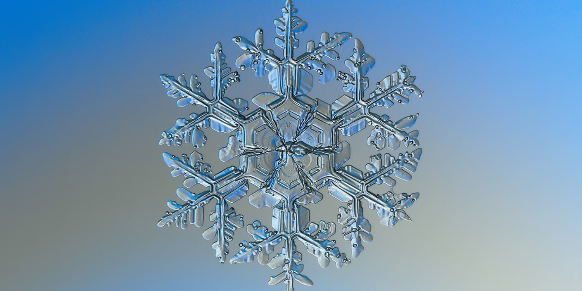 なぜ雪の結晶はすべて「六角形」なの？美しい形は何によって決まる？