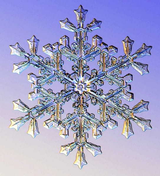 なぜ雪の結晶はすべて「六角形」なの？世界最大の雪の結晶とは？