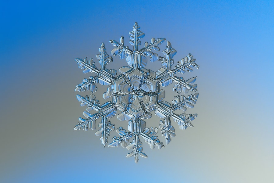 なぜ雪の結晶はすべて「六角形」なの？世界最大の雪の結晶とは ...