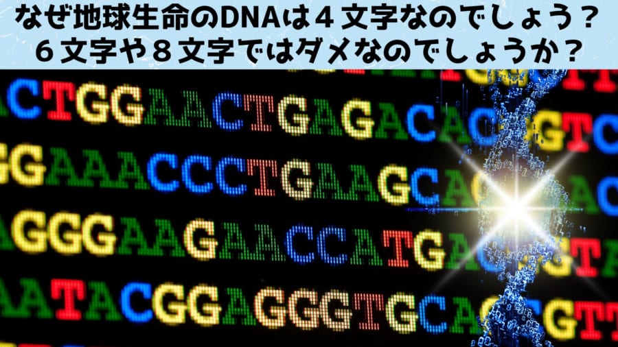 DNAが4文字なのは絶妙なバランスの結果