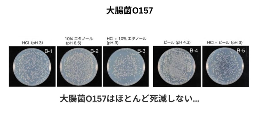 大腸菌O157に対しては、殺菌効果はあまりないことが確認された。