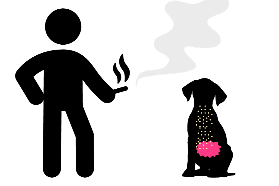 イヌが煙を吸うと、その成分は体に吸収され、尿で排出される