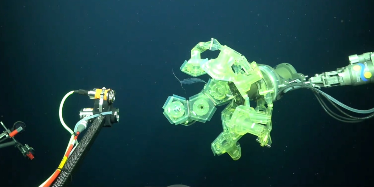 SFみたいなアームで深海生物をキャッチ！3D撮影＆DNA採取ができる新型ロボを開発