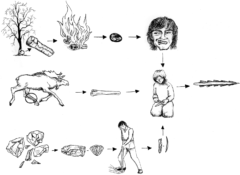 カバノキのガムを噛み、ヘラジカの骨と石器をつなぎ合わせる接着剤に使ったイメージ図