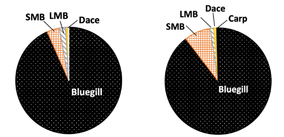（左図）オスが保護中に追い払った卵捕食者の割合、（右図）保護オス除去後に巣を訪れた卵捕食者の割合。 （Bluegill：ブルーギル、SMB：コクチバス、LMB：オオクチバス、Dace：ウグイ、Carp：コイ）