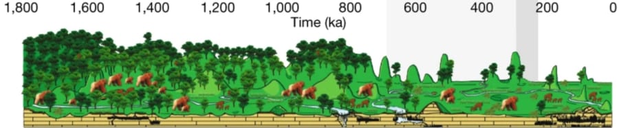 180万〜20万年前における森林景観とギガントピテクスの個体数の変化を再現したもの