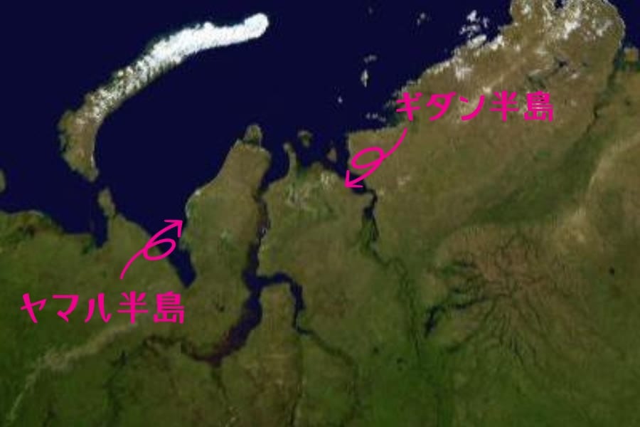 ロシア北部にあるヤマル半島とギダン半島