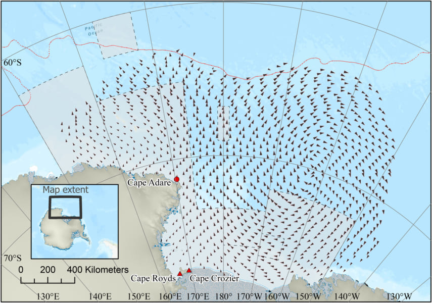 2019年8月の海流ベクトル。三角形が大きいほど流れが速い。赤色は調査対象としたコロニーの繁殖地