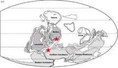 化石の発見場所（星）。図はデボン紀の大陸に合わせたポーランドとモロッコの位置