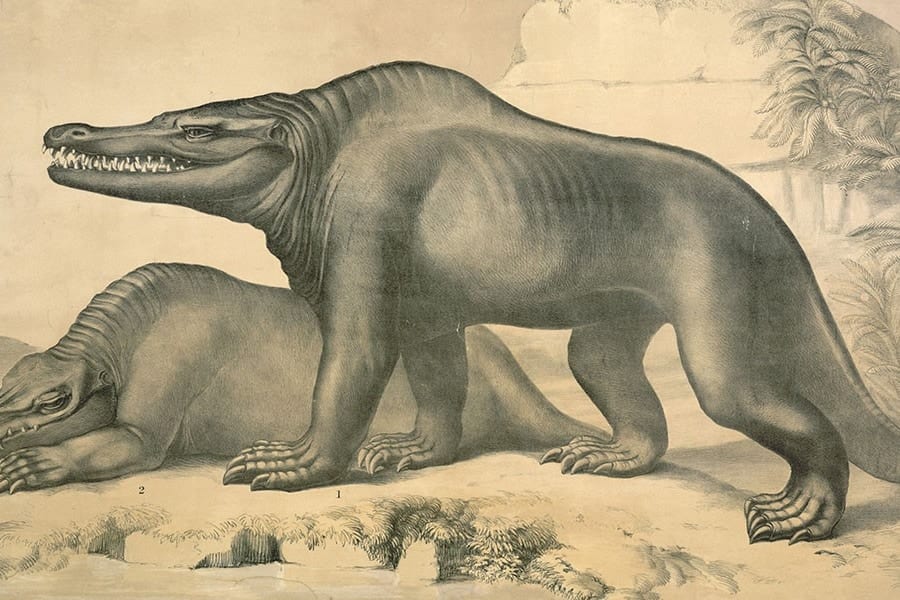 初めて「恐竜」に学名が付けられてから200周年！最初恐竜はどんな姿だと考えられていたのか？