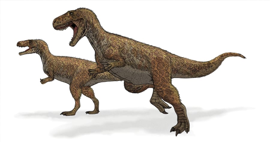 現在のメガロサウルスの復元イメージ