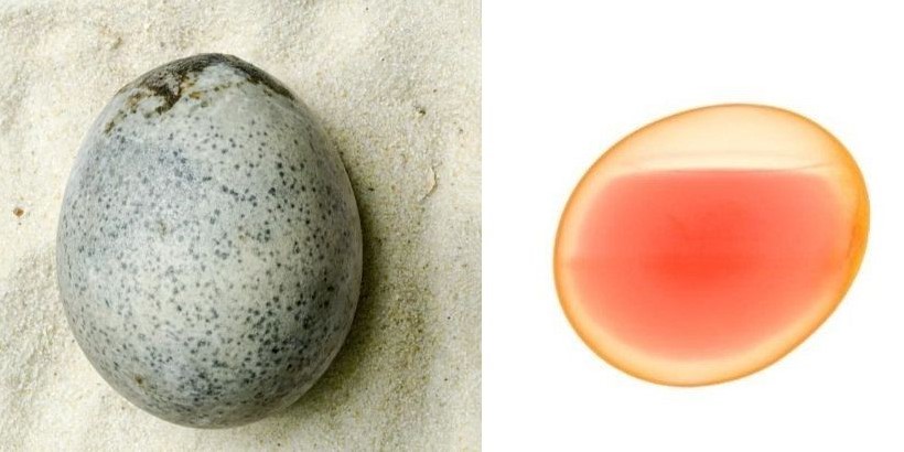 1700年前の「ローマ時代の卵」には液体が満たされている