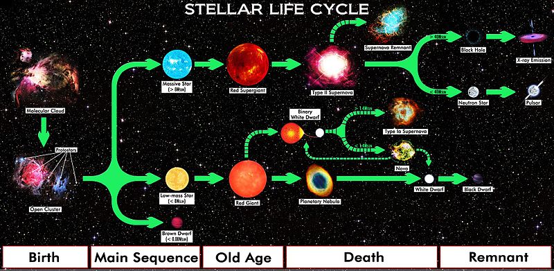 恒星進化論のチャート。重い星は超新星爆発の後にブラックホールか中性子星（neutron star）になると考えられている。