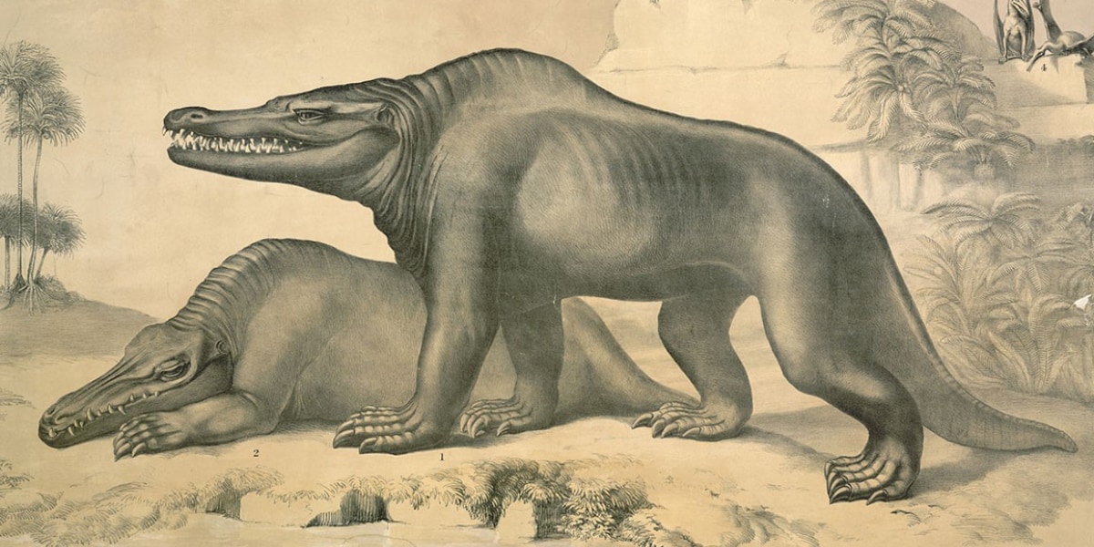 初期に描かれた「メガロサウルス」の復元イメージ