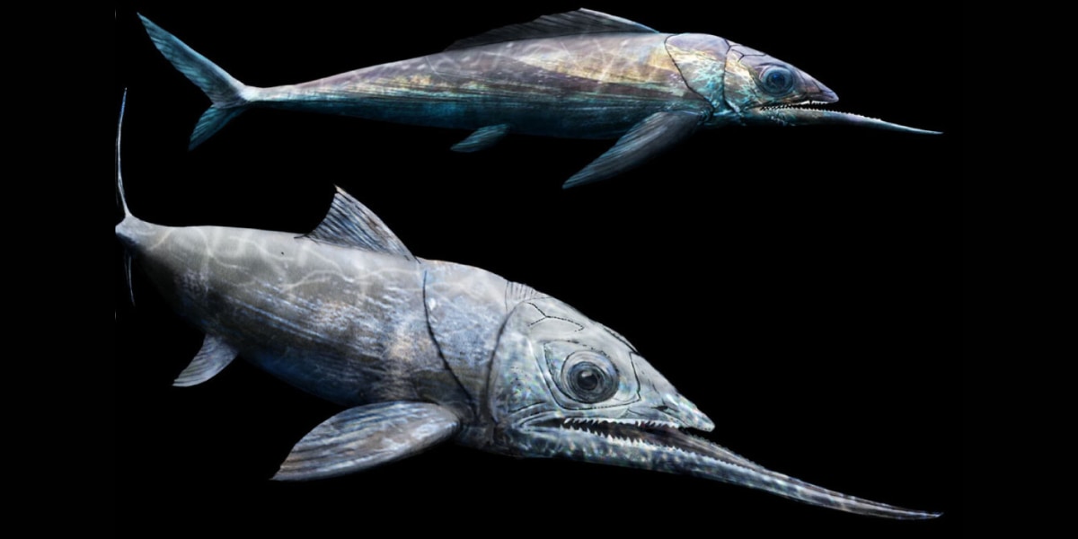 デボン紀の太古の海に「しゃくれを極めた魚」が実在した！