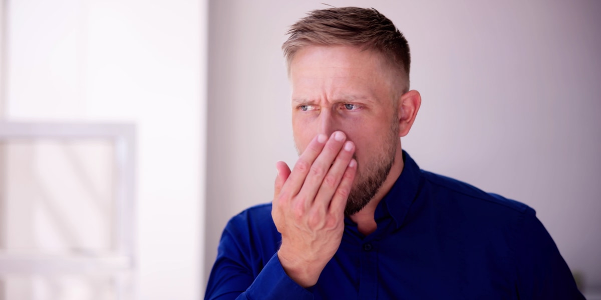 口腔細菌の共生による「口臭増強機構」を発見