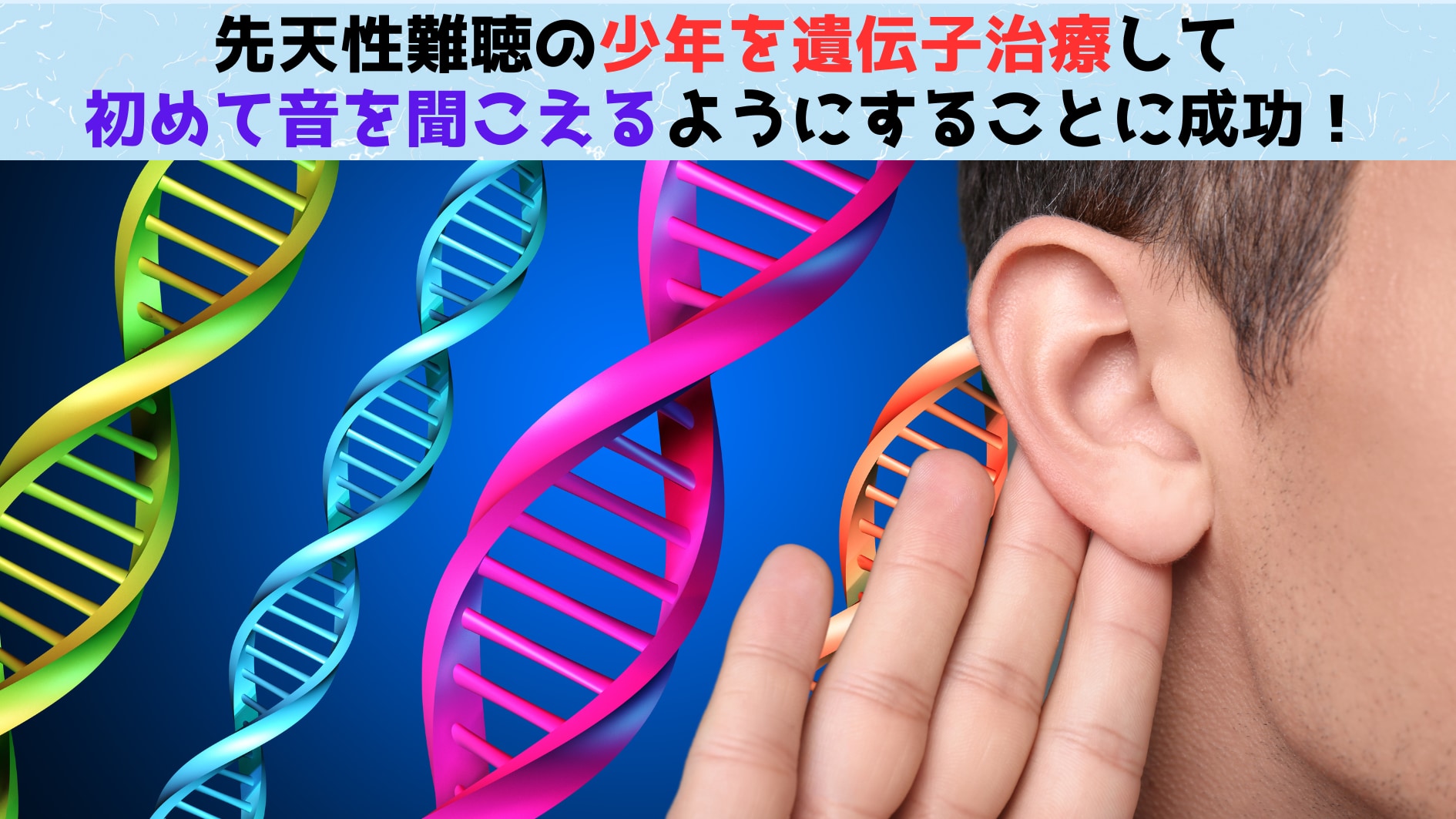 難聴の少年を遺伝子治療して音を聞こえるようにすることに成功！