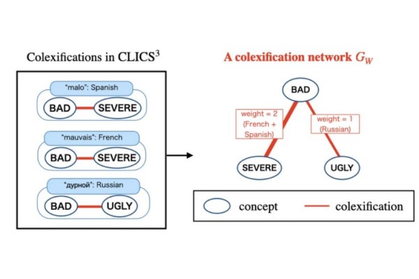colexification ネットワーク