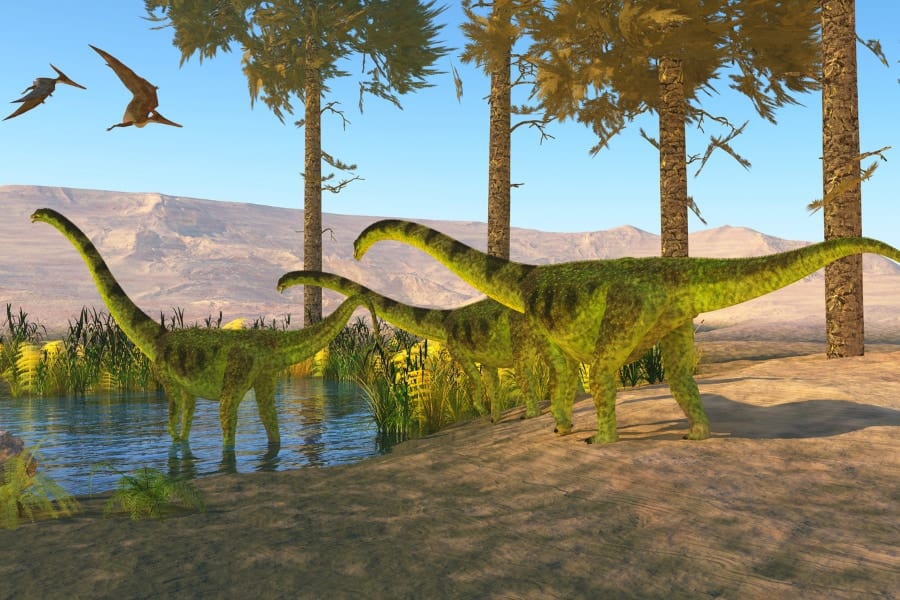 ティタノサウルスの一種。イメージ。