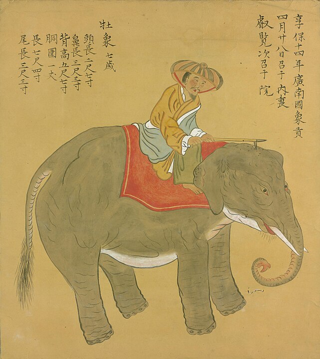 河鰭実利写・烏丸家所蔵『象之図』、象が京都にやってきたときの様子を描いたもの