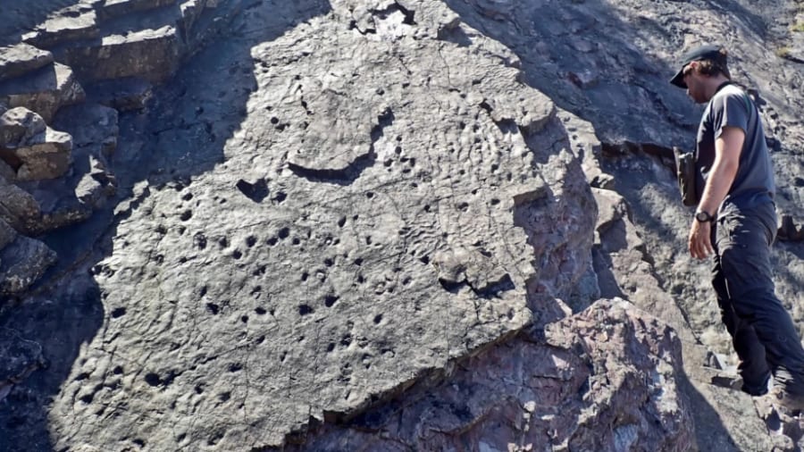 サマセット州とデボン州の海岸にある砂岩層