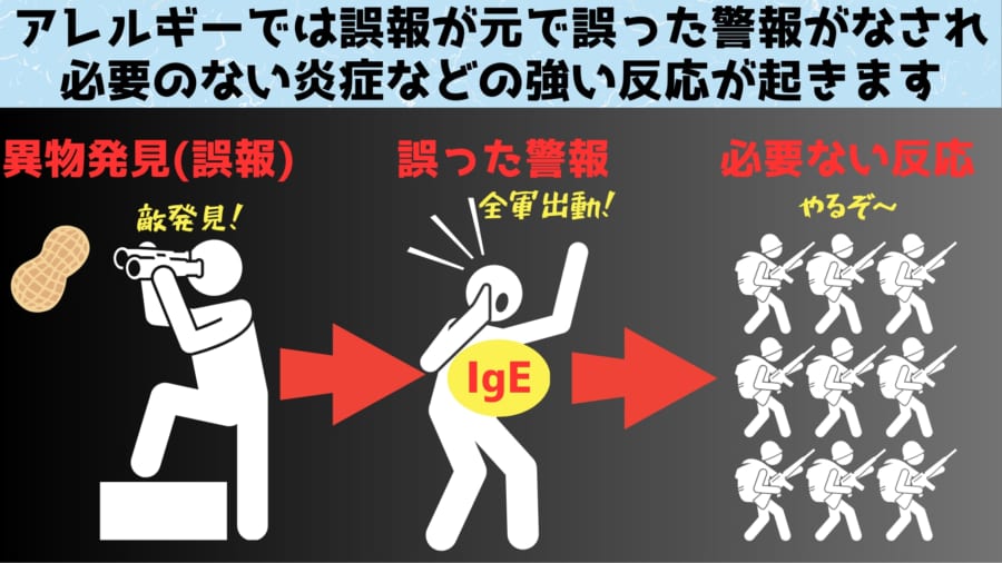 IgEは発見報告を受けて強い反応を起こすための警報装置としての側面があります。