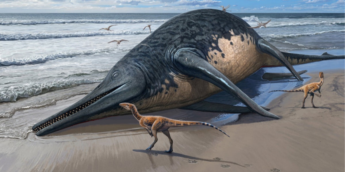 全長25m！2億年前のイギリスの海にいた「史上最大の新種魚竜」を発見！