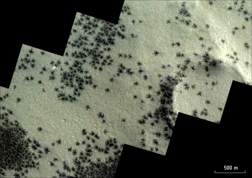 2020年に撮影された火星南極付近の画像。「大量のクモ」に見える