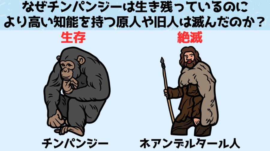 なぜチンパンジーは生き残っているのに高い知能を持つ原人や旧人は滅んだのか？