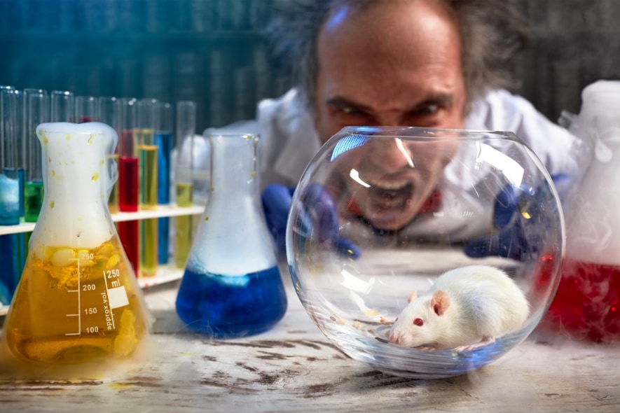 十分に訓練されたはずのマウスは間違いを犯すことがあり、実験者を困らせてきた