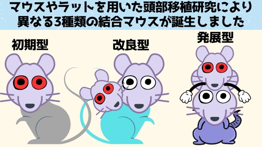 3種類の結合マウス