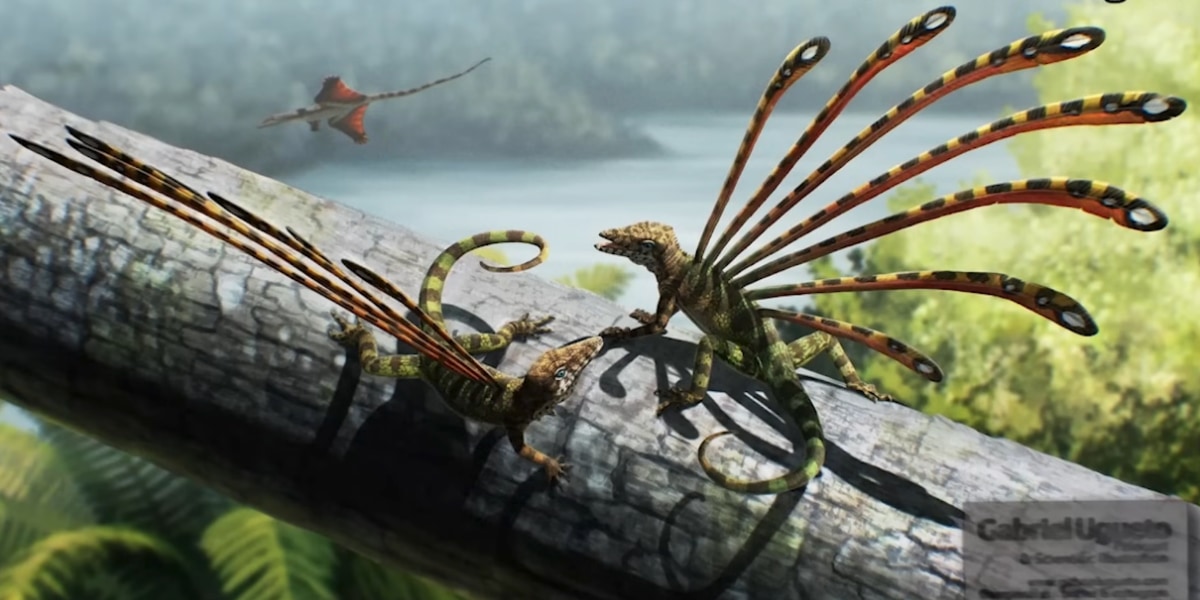 2億年前に実在した「史上最もおかしな見た目の爬虫類」とは？