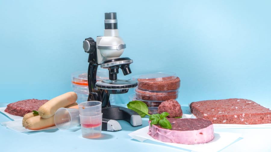 培養肉は実験室で培養された筋肉細胞から作られます