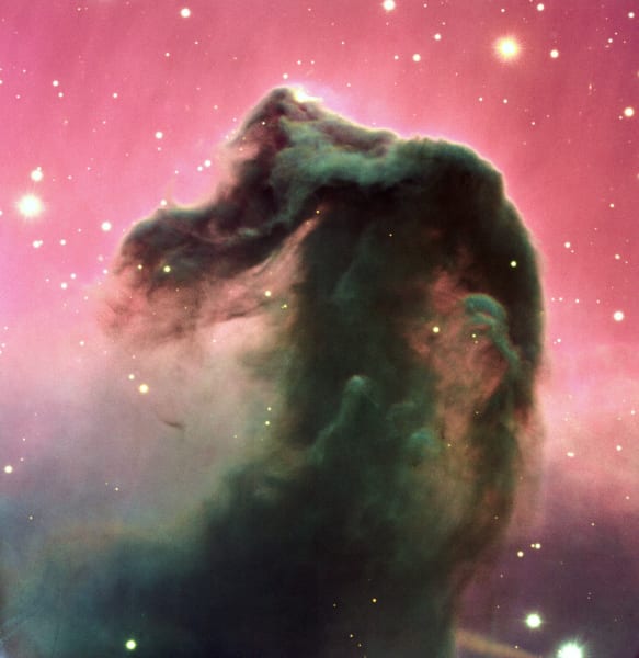 ヨーロッパ南天天文台が2002年に撮影した「馬頭星雲」の画像。馬の頭が左を向いているように見える