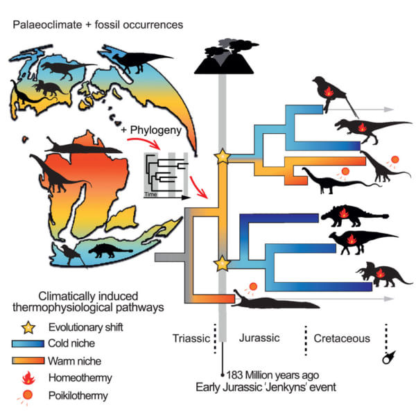 体温を一定に保つ「恒温性能」は1億8000万年前の恐竜の間で進化していた！