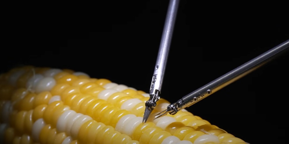 ソニーの外科用ロボットがトウモロコシの粒を縫う
