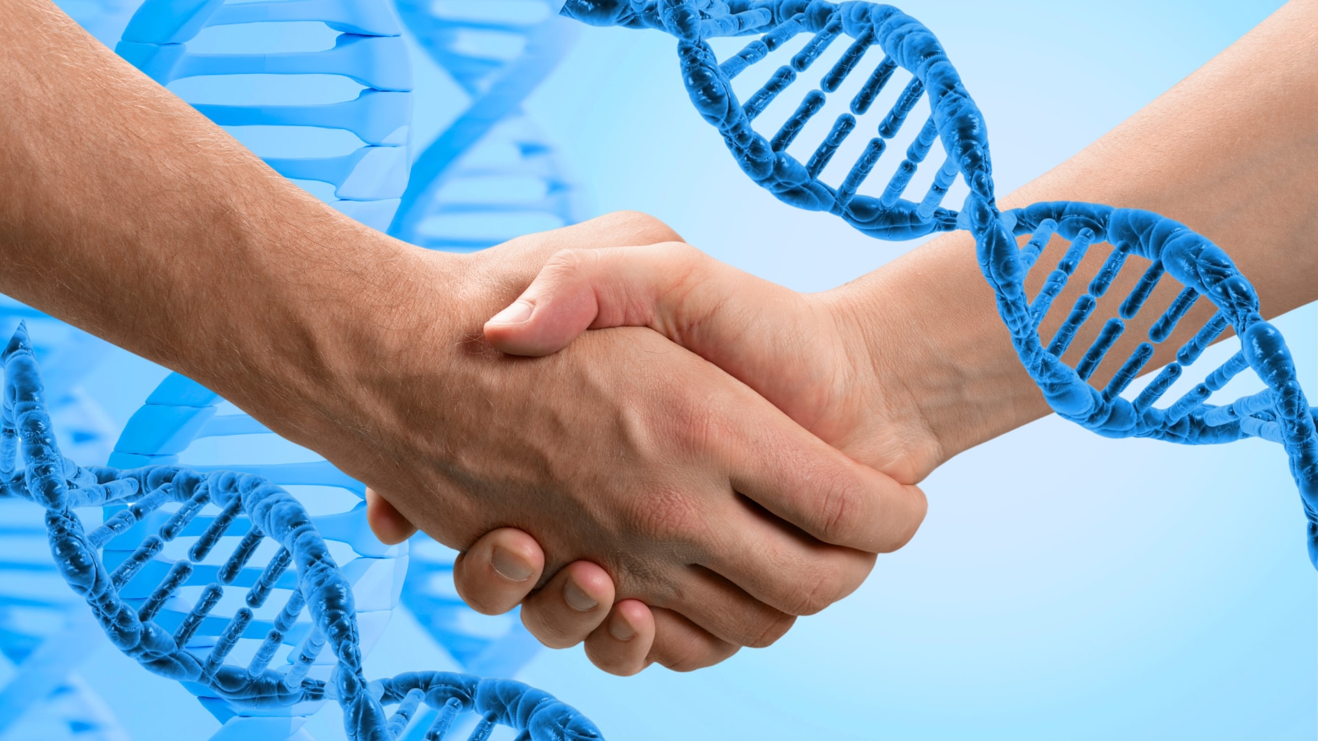 人を信じる力を与える「信頼遺伝子」を発見