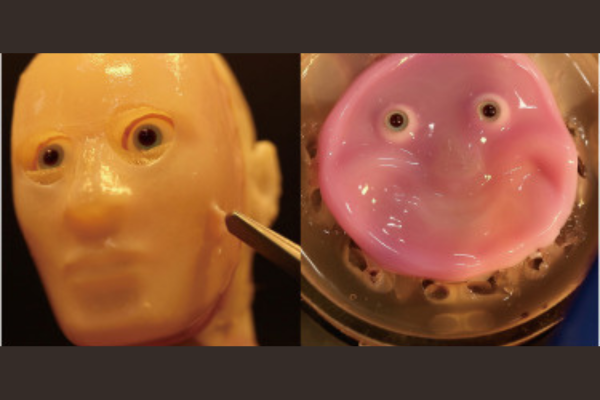 「生きた皮膚」を持つロボットの顔の開発に成功！