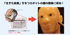 ヒト細胞から作った「生きた皮膚」をロボットの顔に持たせることに成功！