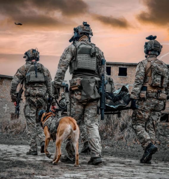 戦場や危険地帯で働く軍犬たち