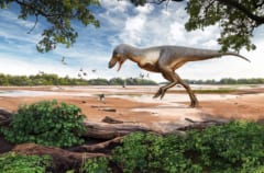 若いティラノサウルスの復元イメージ