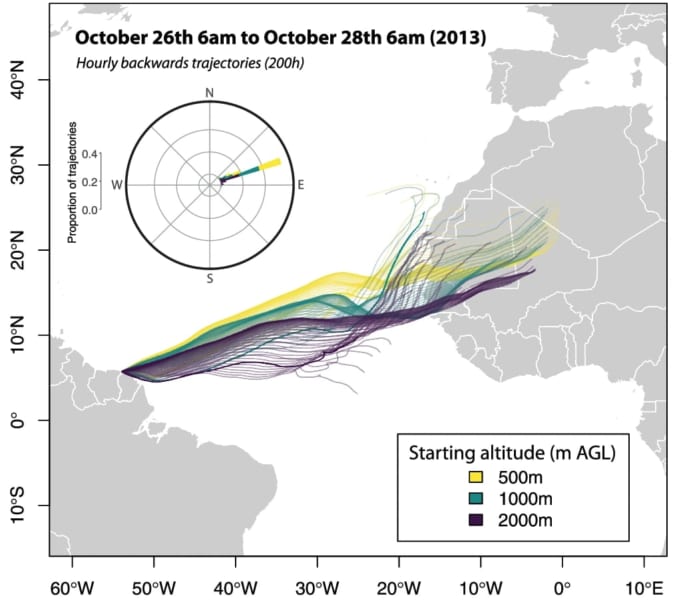 西アフリカ〜南米に向かって吹く「サハラ大気層」を確認。色は高度を示す。