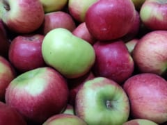 果物の持つ香味成分もコクを深めるのに役立つ。リンゴやマンゴーはよく使われる果物の一種。