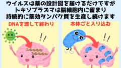 ニューロン内外に持続的に留まり薬を生産し続ける性質に着目すれば、トキソプラズマは薬の運び屋というよりも、配達可能な製薬工場と解釈できるかもしれません。