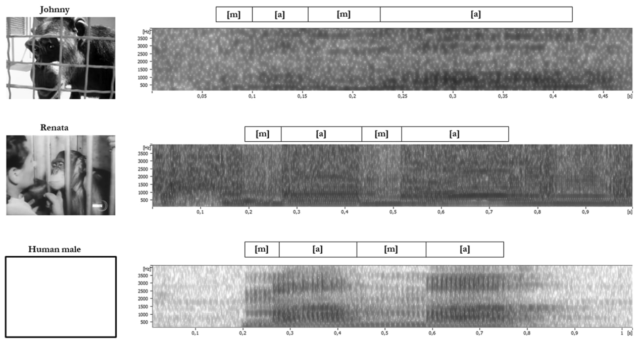 上からジョニー・レナータ・発話障害を持つパーキンソン病患者の発音の周波数
