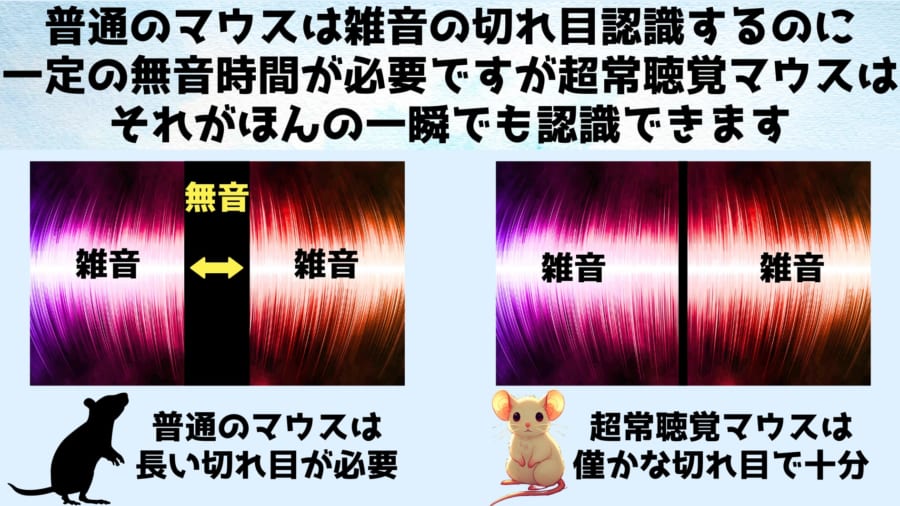 超常聴覚マウスは音の解像度が高いため僅かな無音時間も聞き取れます