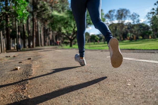 有酸素運動をすると筋肉が落ちるという俗説の真実に迫る