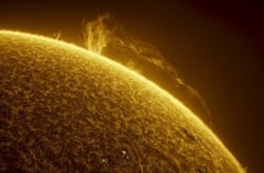 Gigantic Solar Prominence in Motion